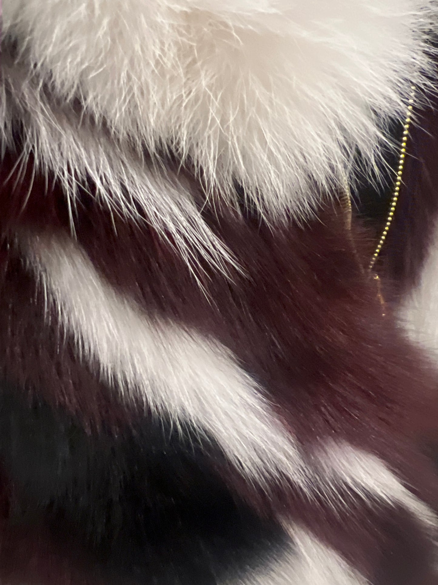 Yes London - Pelliccia