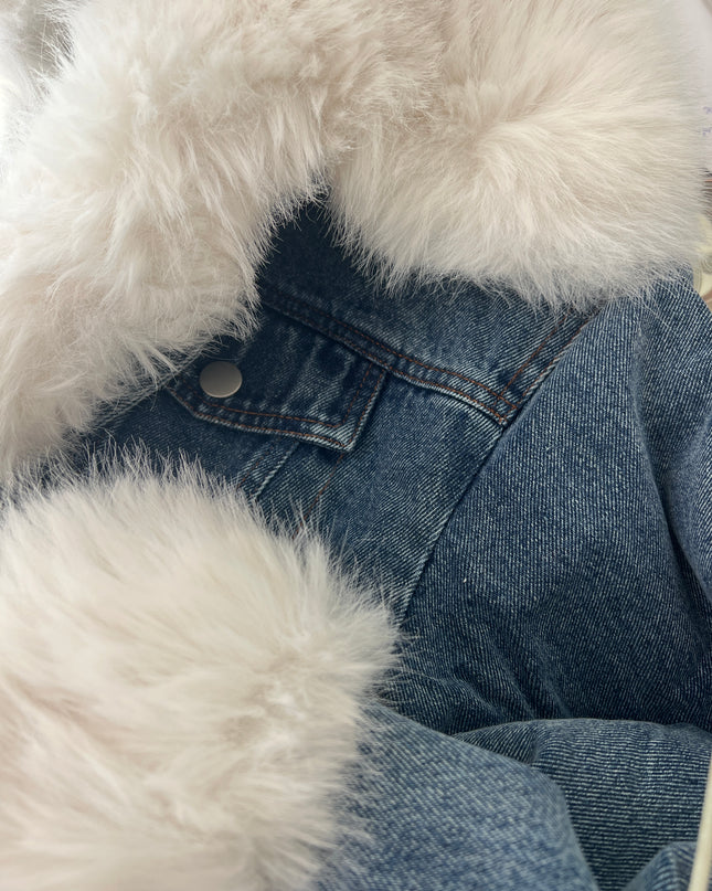 Nueva Vida - Jeans Pelliccia Barbi - JG0956 GIACCA BARBI