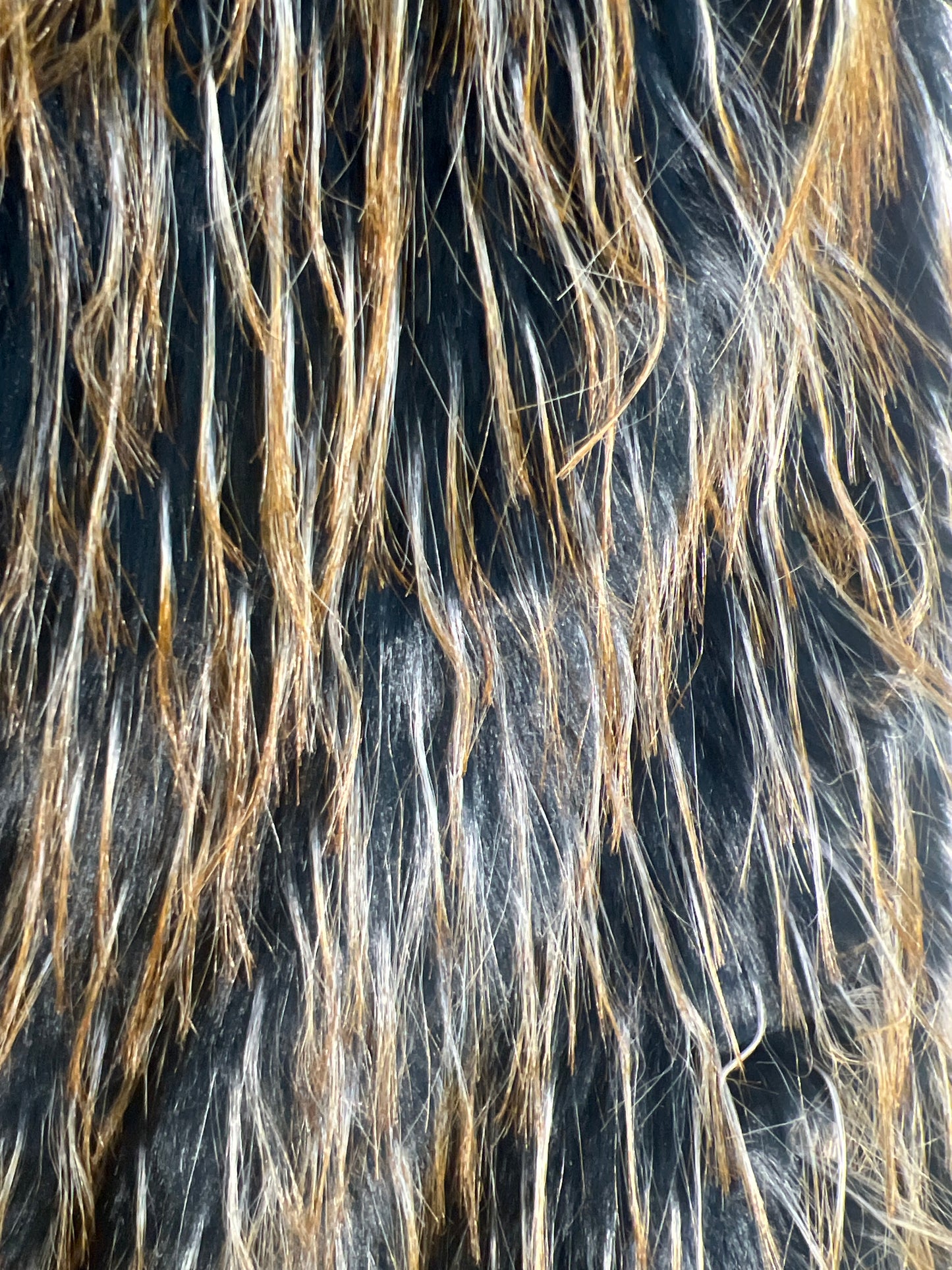 Nueva Vida - Pelliccia Blu Gialla Capp